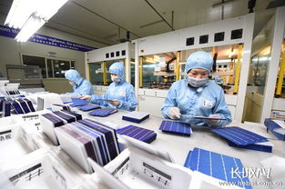 晶龍集團企業網群接待業務的多維實踐與優化路徑